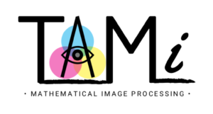 TAMI logo